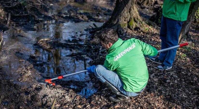 Súlyos szennyezést mutatott ki a Greenpeace a Pénzes-patakban Mészáros Lőrinc cégének telephelye mellett