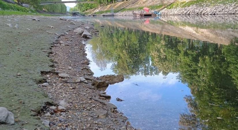 Sokkoló látvány: szinte át lehet sétálni a Kis-Dunán, alig van benne víz – videó