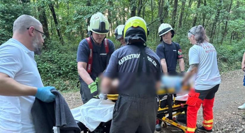 Saját lában nem tudott kijönni, hordágyon hozták ki a zalai erdőből