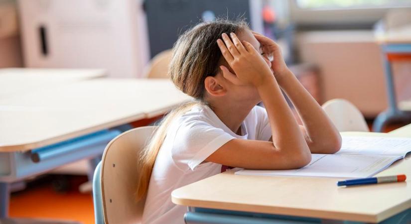 Erre várt rengeteg szülő: 26 417 magyar gyerek sorsáról döntöttek
