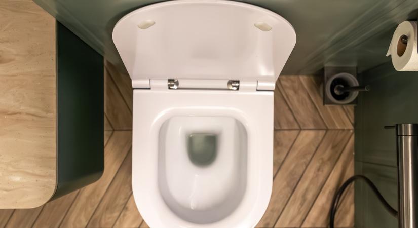 Csak jégkockát dobott a WC-be a szomszédasszony, de aztán, ami bekövetkezett, attól teljes volt az elképedés