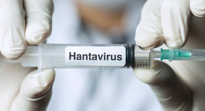 Mit kell tudni a hantavírusról, amelybe már hárman belehaltak egy tengerjáró hajó utasai közül?