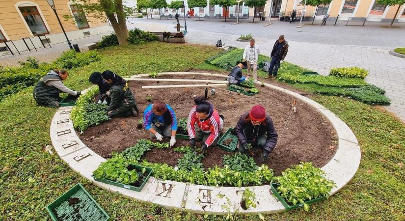 Nagy átalakulás előtt áll a Virágóra