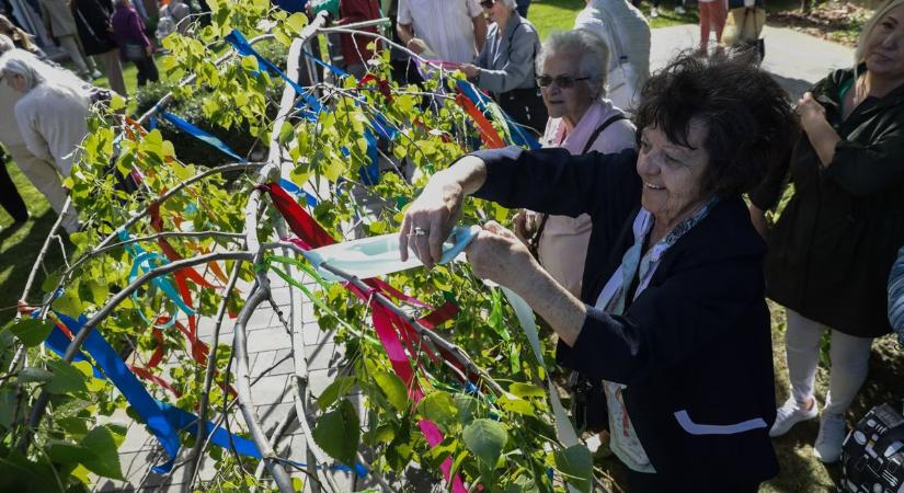 Májusfát állítottak és majálist ünnepeltek a győri idősek – Videóval, sok fotóval