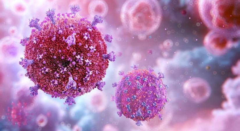 A HIV és az evolúció