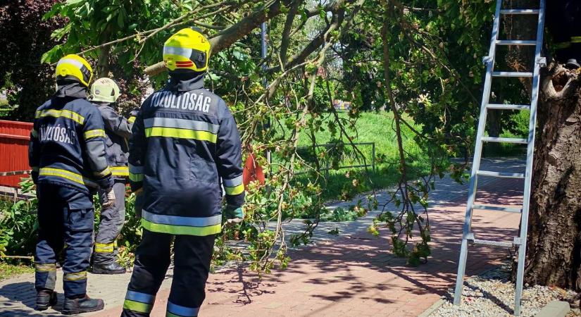 Letört faág lógott a járdára, szükség volt a tűzoltókra Kapuváron