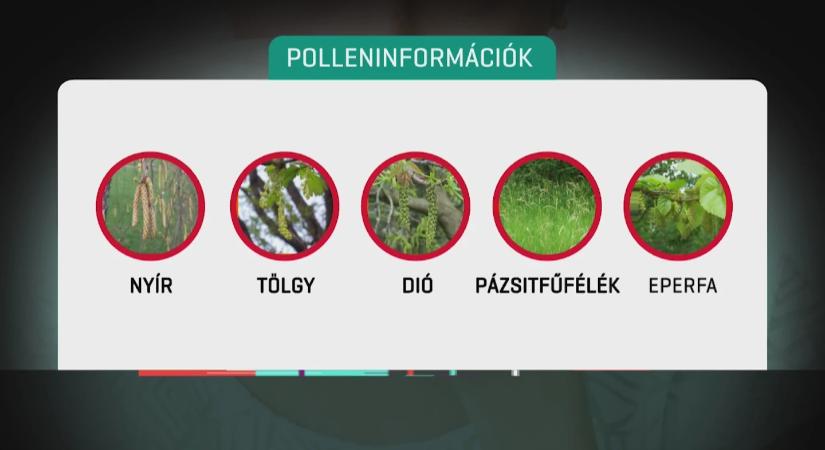 Évente 20 ezer új asztmás beteget diagnosztizálnak Magyarországon