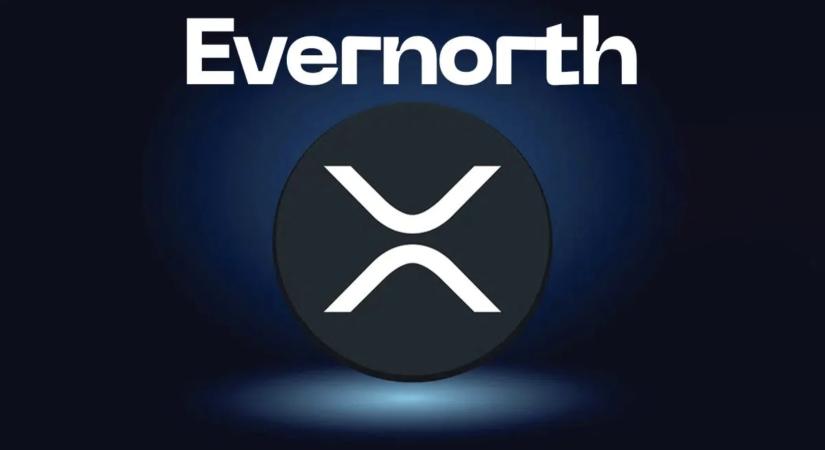 OpenAI-pénzügyi vezető kerül az XRP Evernorth igazgatóságába