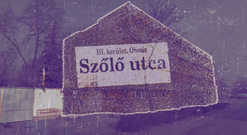 Ledózerolják az egykori Szőlő utcai javítóintézet épületét, az is kiderült, mit terveznek a helyére