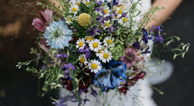 Ma, május 6.: Ivett és Frida névnapja van – Mit árul el a nevük?
