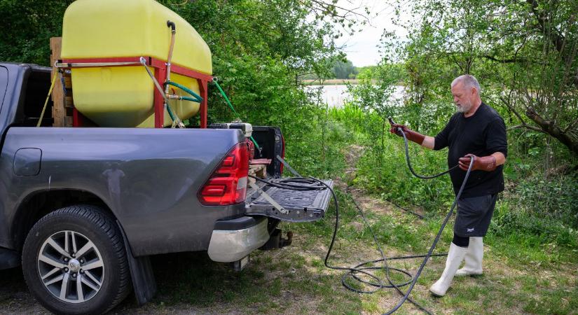 Kezdődik a harc a Balatonnál