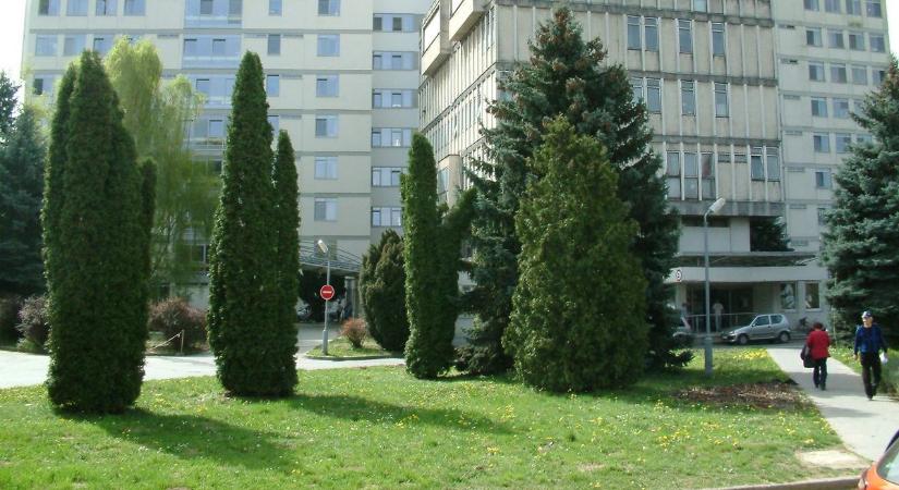 Vége, megszűnik a szakrendelés – de mi áll a döntés mögött?