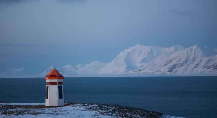 Hófehér árnyak az ordító csendben