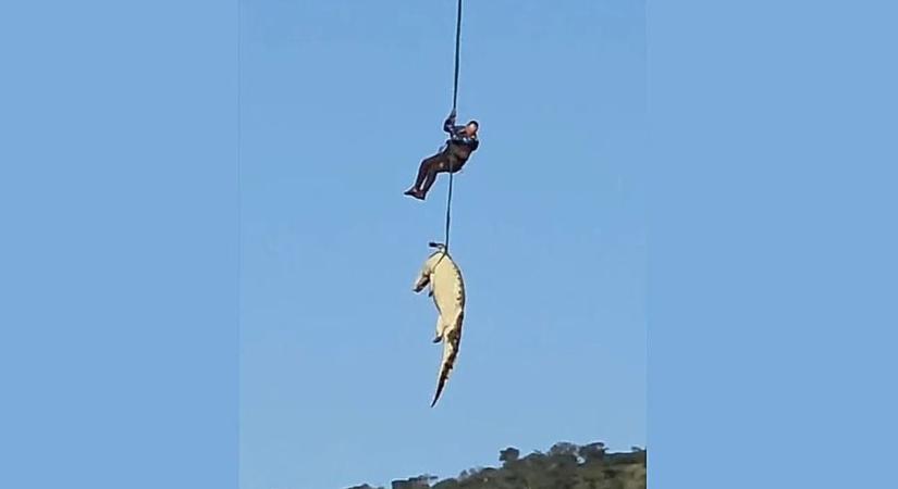 Elképesztő akció: helikopterrel emeltek ki a vadonból egy emberevő krokodilt (VIDEÓ)