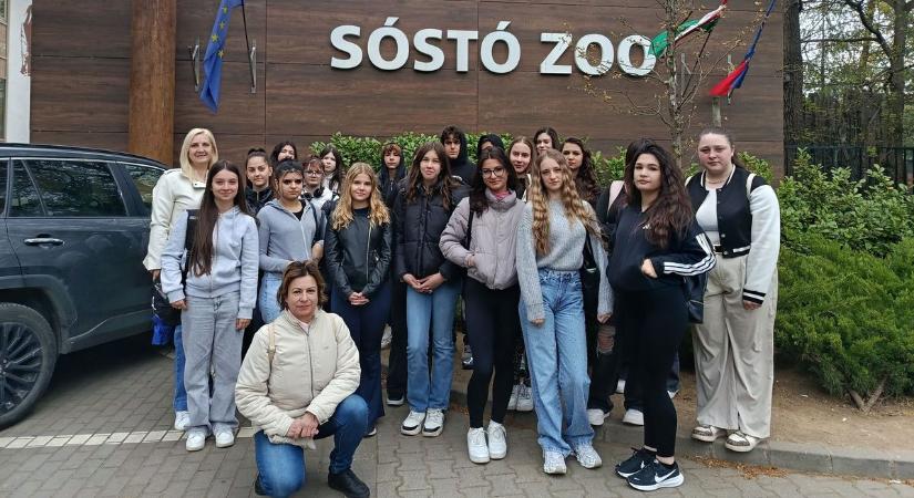 Így telt a fenntarthatósági témahét a Mátészalkai Szakképzési Centrum intézményeiben