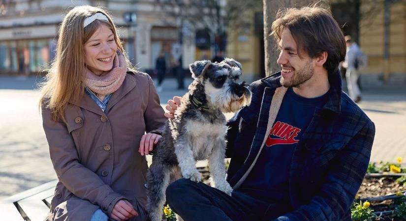 Szívszorító döntés: Kié lesz a házikedvenc egy válás után?