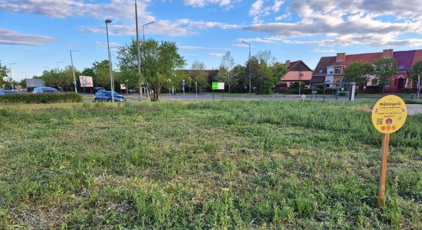 Dühös üzenet jelent meg Szolnokon – valaki brutálisan tönkretette a civilek több havi munkáját