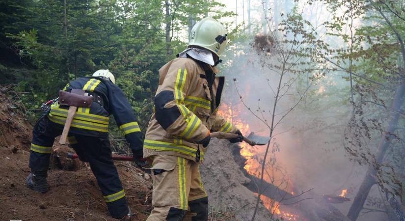 75 hektárnyi erdő ég a Munkácsi járásban