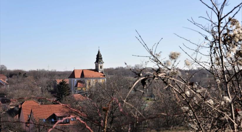 XVII. Vereb Vitéz Napja: egész napos kavalkád az Égi Íj Völgyében