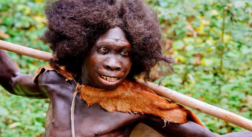 A húsevés adott lendületet az emberi evolúciónak