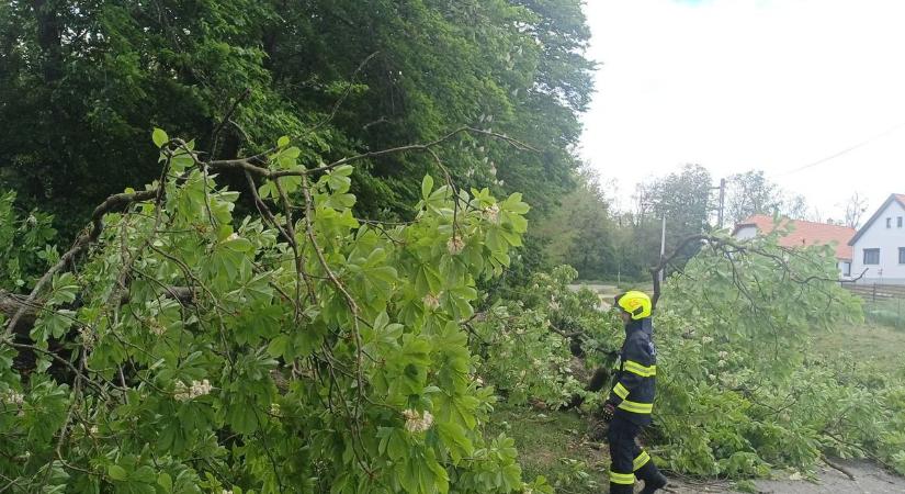 Letarolta Vas vármegyét a keddi szélvihar - fotók