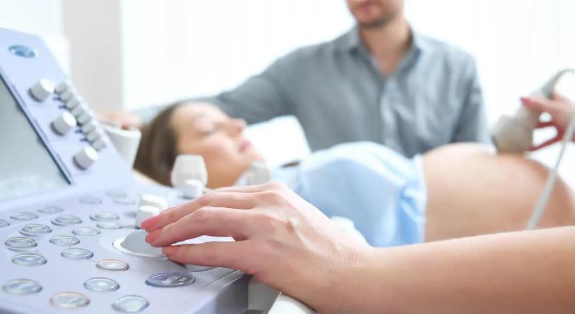 „Trauma helyett bizalmat”: A Momentum azonnal eltörölné a szívhangrendeletet