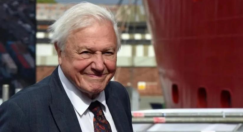 Riasztó jóslatot fogalmazott meg David Attenborough: közel állunk egy újabb tömeges kihaláshoz