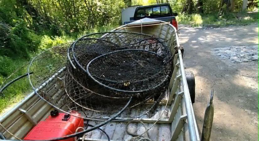 Tiltott eszközzel próbáltak halat rabolni a Tiszáról – ez a mozdulat vetett véget a bűnözésnek