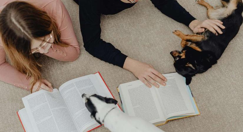 Tarthatatlan a stressz vizsgaidőszakban? Terápiás kutyákat vet be az ELTE