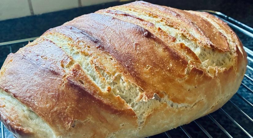 Vége a kelesztésnek és a dagasztásnak! Ettől a trükktől 100 forintból olyan kenyered lesz, mint a legjobb pékségben