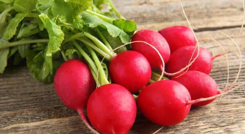 Ez történik a testeddel, ha rendszeresen eszel retket – Elképesztő a hatása!