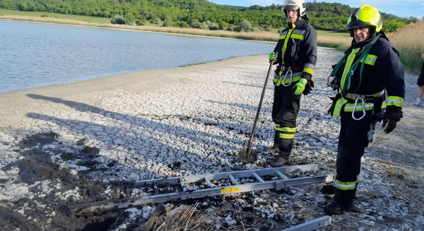Döbbenetes riasztás a Balatonnál: iszapban elsüllyedt turistát mentettek a tűzoltók - fotó