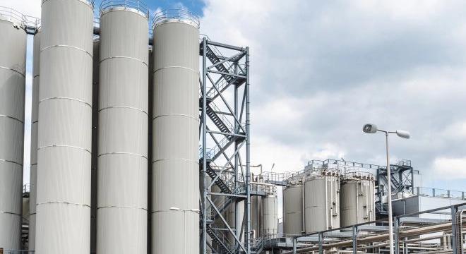Magasabb hozzáadott értékű fehérjék gyártására vált a holland FrieslandCampina