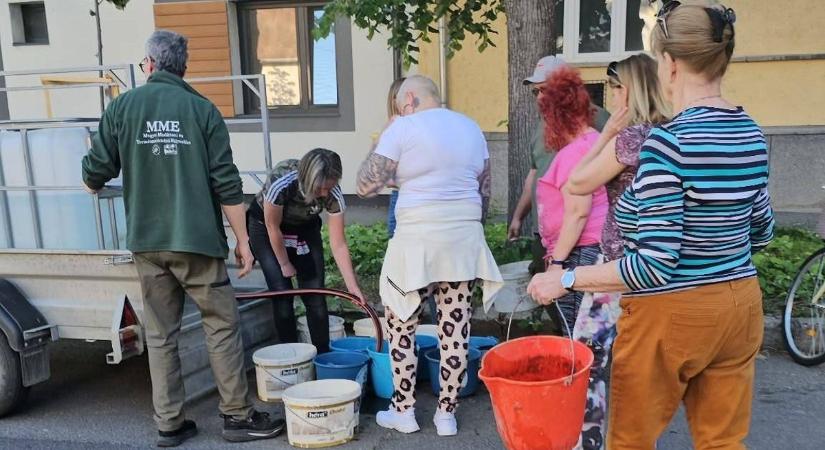 Idén sem pihennek a Szolnoki Faitatók! Csatlakoznál egy körre? Mutatjuk, hol és mikor locsolhatsz
