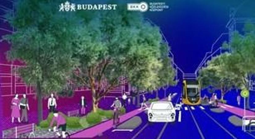 Autósok, figyelem! Kezdődik a Mester utca felújítása, így változik a forgalmi rend