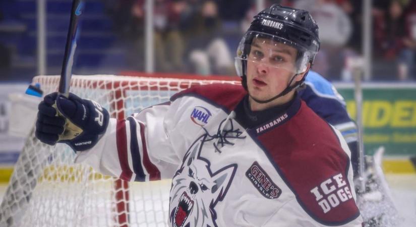 Fejér vármegyei jégkorongost draftoltak Amerikában