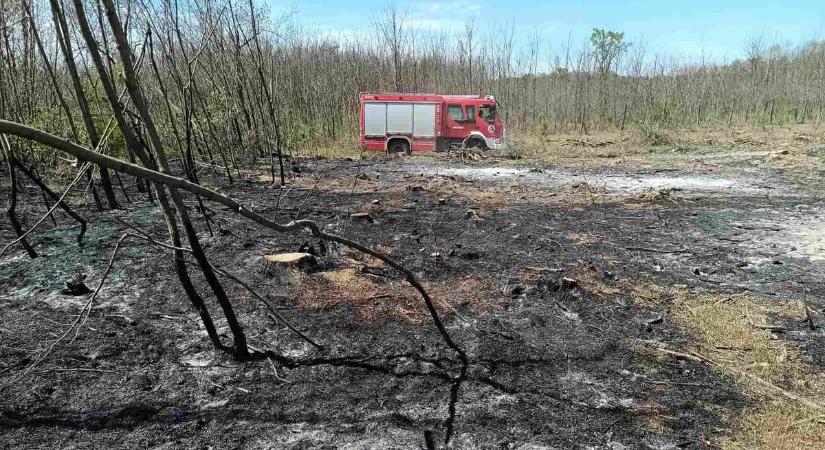 Súlyos a helyzet: 15 tűzoltó dolgozott a kadarkúti erdőtűz megfékezésén