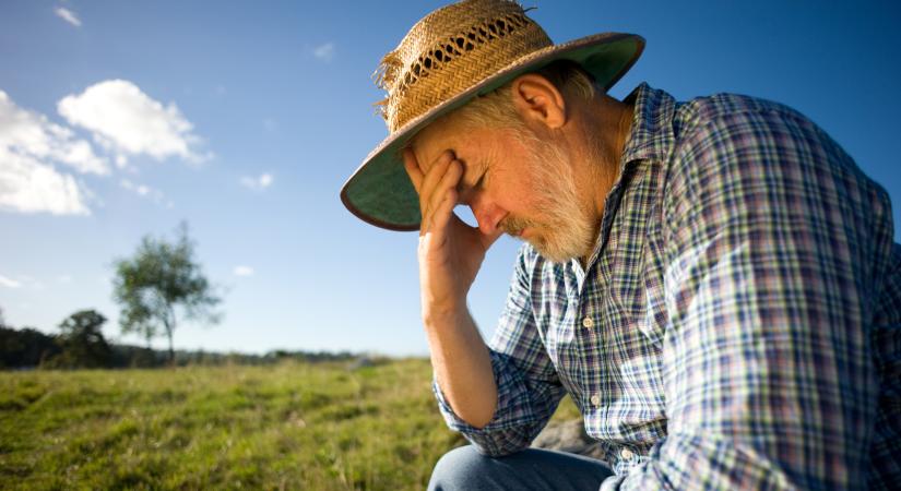 Aszályos tavaszra májusi fagy: növekvő kockázatok a magyar agráriumban