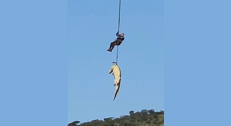 Helikopterrel vittek kivizsgálásra egy helyi lakost felfaló krokodilt Dél-Afrikában