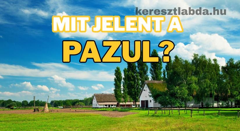 Tájszólás feladat: „Pazul”, ez a szó ma is él, de tudod, mit takar valójában?