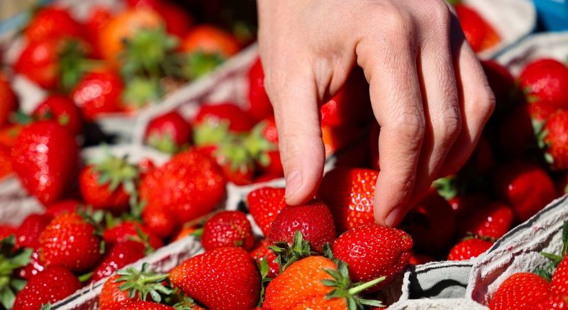 Ezt kevesen tudják: így maradnak sokkal tovább frissek a gyümölcsök otthon