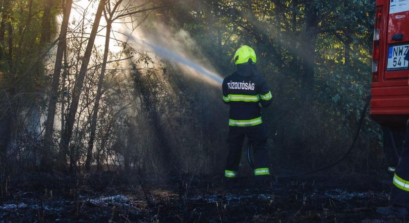 Kigyulladt az erdő Hajdú-Biharban, több méhkaptár is ég!