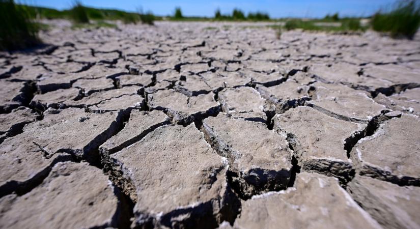 Rettenetesen kevés a csapadék, a kevés eső a hegyeinkben a legszembetűnőbb