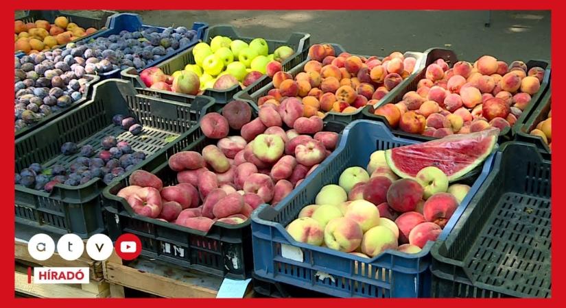 Aggódnak a gazdák, alig lesz gyümölcs a hazai polcokon – jön a brutális drágulás is
