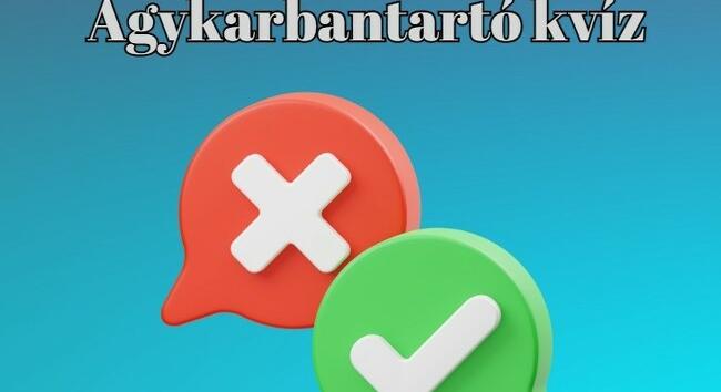 Agykarbantartó - A kiváló eredményhez legalább hét helyes válasz kell. Neked is megy majd