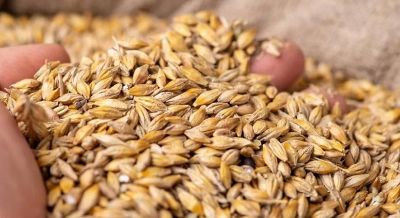 Egyiptom figyelmen kívül hagyta Ukrajna követeléseit és fogadta az Oroszország által lopott gabonát – Szibiha