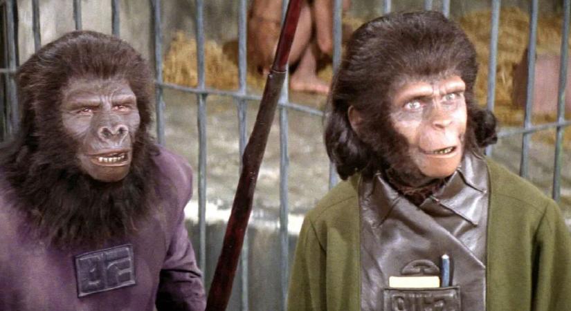 A Disney nem engedi el a beszélő főemlősöket, készül a 11. A majmok bolygója-film