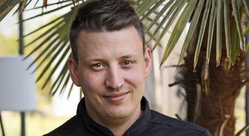 Szilvafácska a döntőben – balatoni csapat hódít az országos tortaversenyen