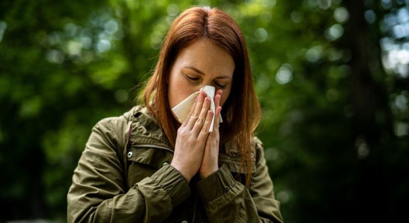 Egyre hosszabbá válik az allergiaszezon
