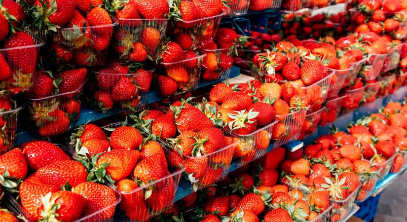 Epermérgezés Magyarországon? Megszólalt a Nébih a rejtélyes rosszullétek ügyében